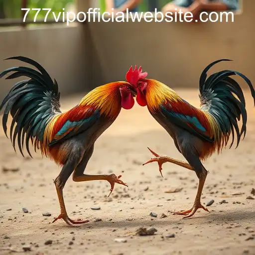 Exploring the World of Sabong Games and the 777VIP OFFICIAL WEBSITE